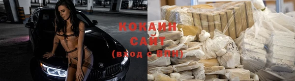 гидропоника Дмитров
