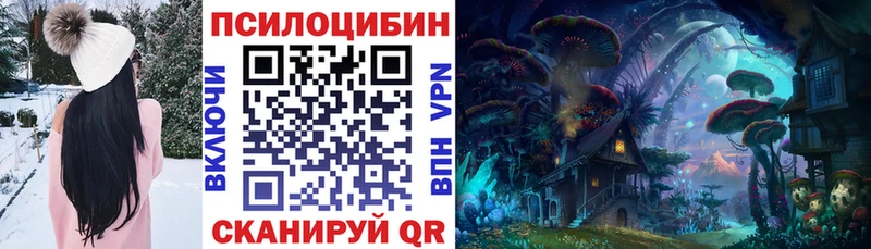 Купить  Пойковский  Галлюциногенные грибы Cubensis 